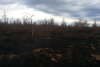 Открытое горение травы в районе озера Харитоновка 