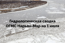​Гидрологическая сводка ОГМС Нарьян-Мар на 1 июля
