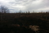 Открытое горение травы в районе озера Харитоновка 